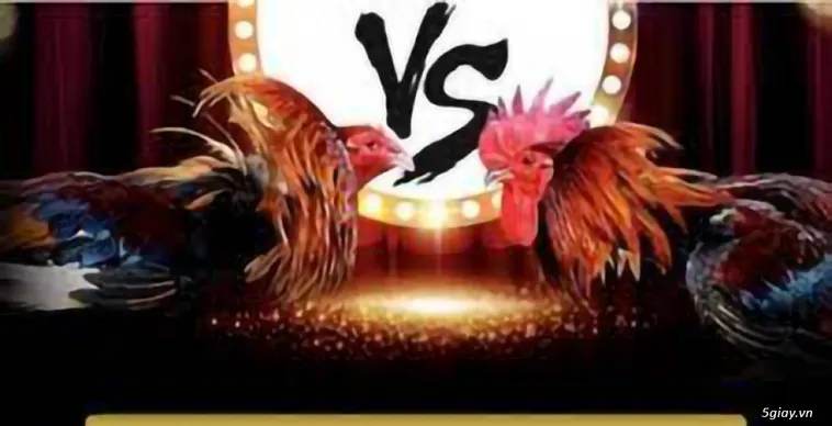 Đá Gà IWIN68 Sân Chơi Kịch Tính Cho Kê Thủ Chuyên Nghiệp