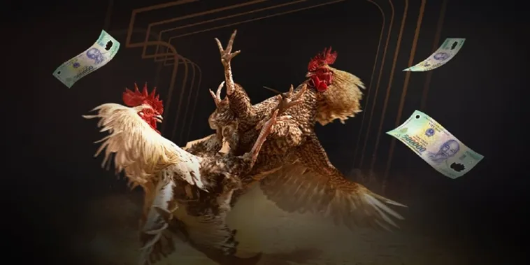 Đá Gà IWIN68 Sân Chơi Kịch Tính Cho Kê Thủ Chuyên Nghiệp